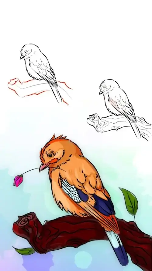 My Sketchbook – Learn to draw