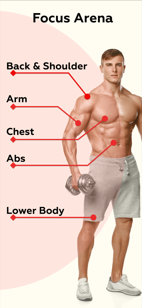 Home Workouts – No equipment