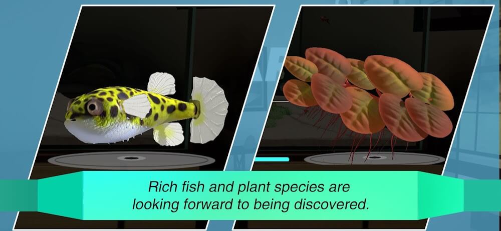 Aquarium Designer