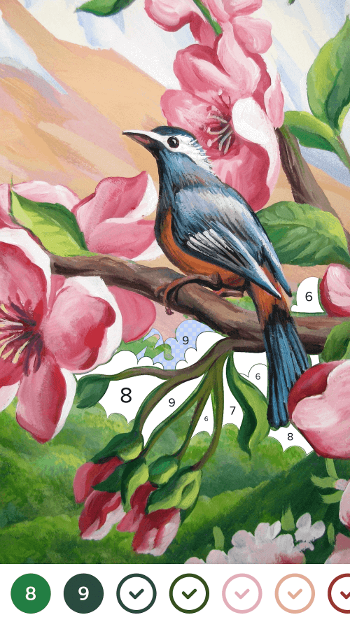 Color by Number – Colorswipes