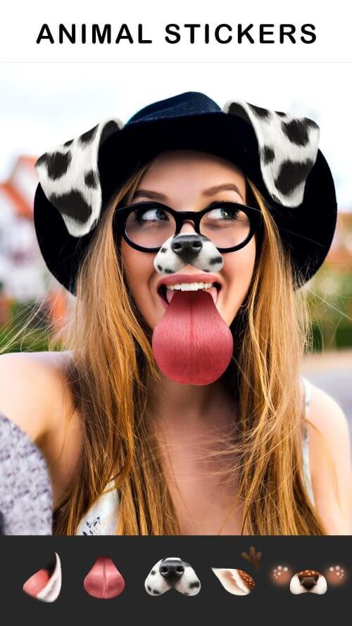 FaceArt: Filters for Pictures