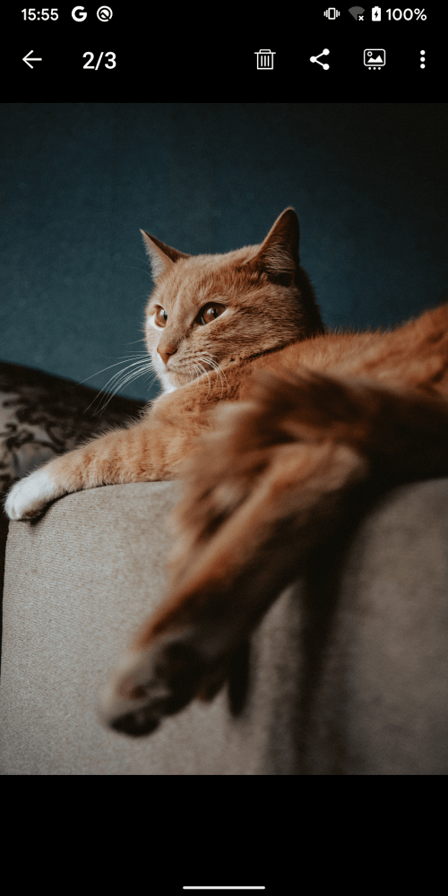 Gallery – photo gallery, album