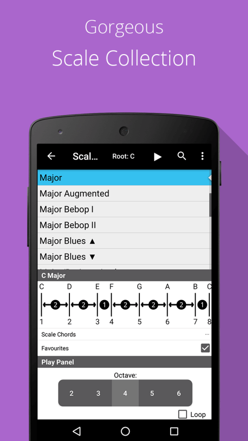 Piano Chord, Scale, Progressio