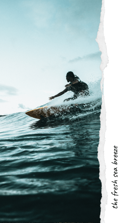 Made – Story Editor & Collage