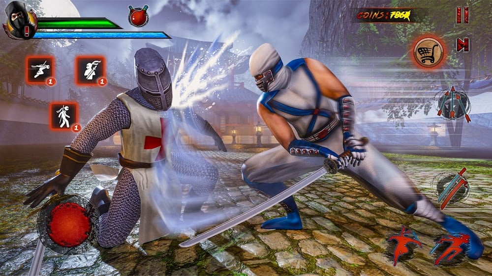 Shadow Ninja Warrior Fighting