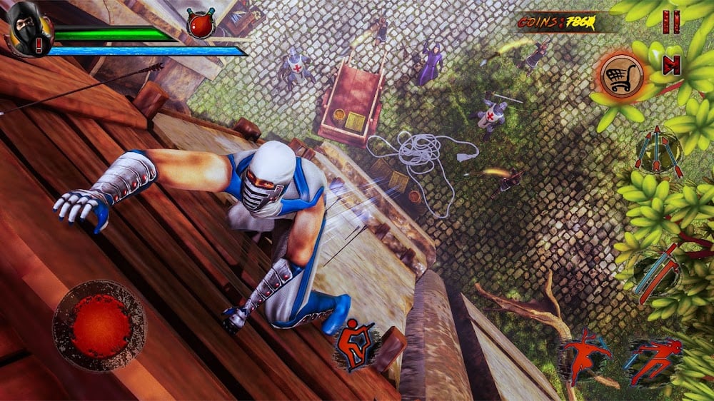 Shadow Ninja Warrior Fighting
