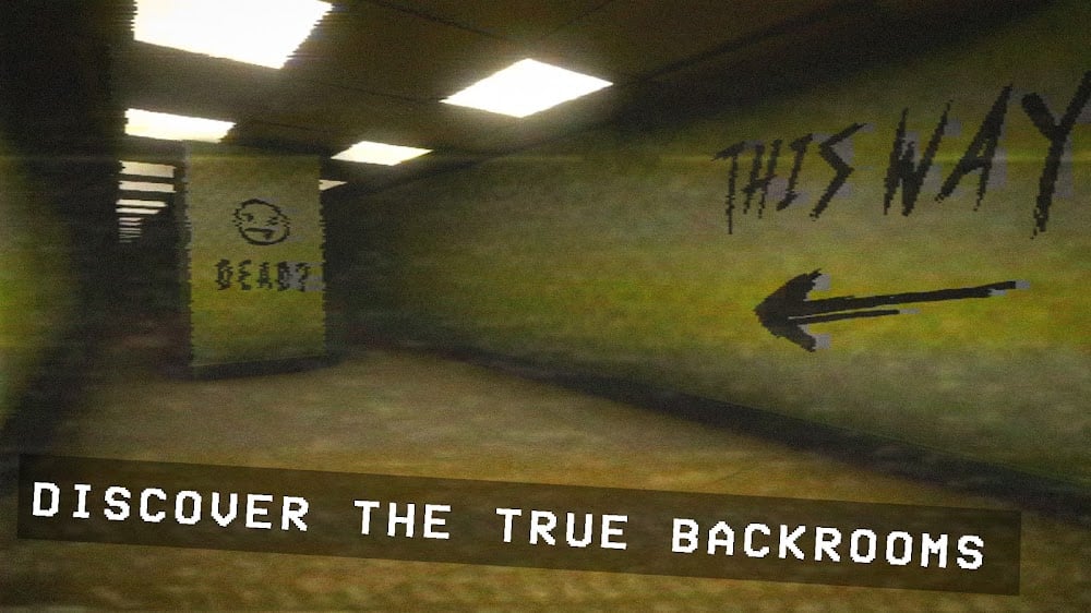 Backrooms Found Footage