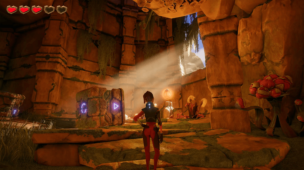 Explorer Ellen 3D