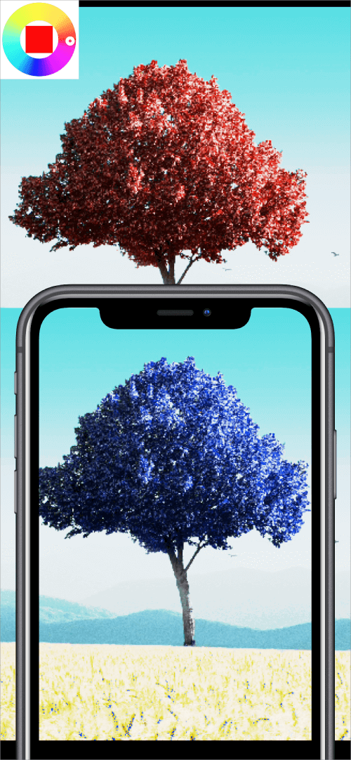 Color Changing Camera