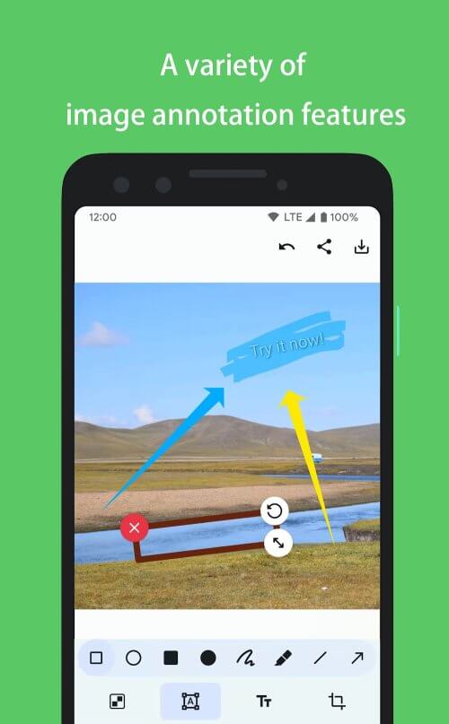 PicMarker: Blur & Markup