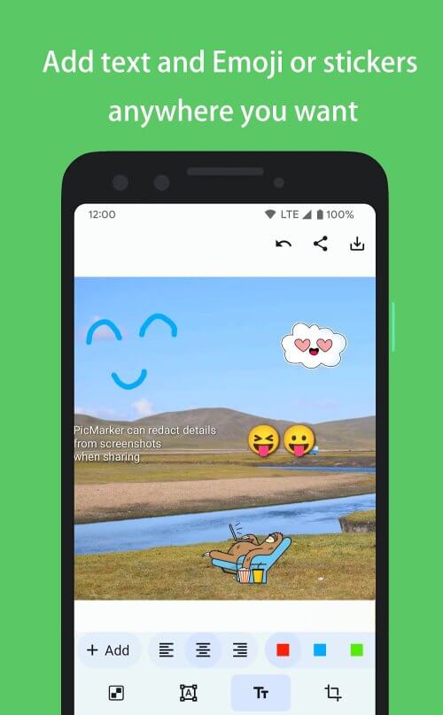 PicMarker: Blur & Markup