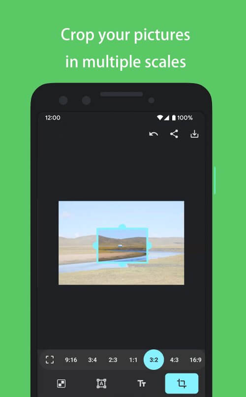 PicMarker: Blur & Markup